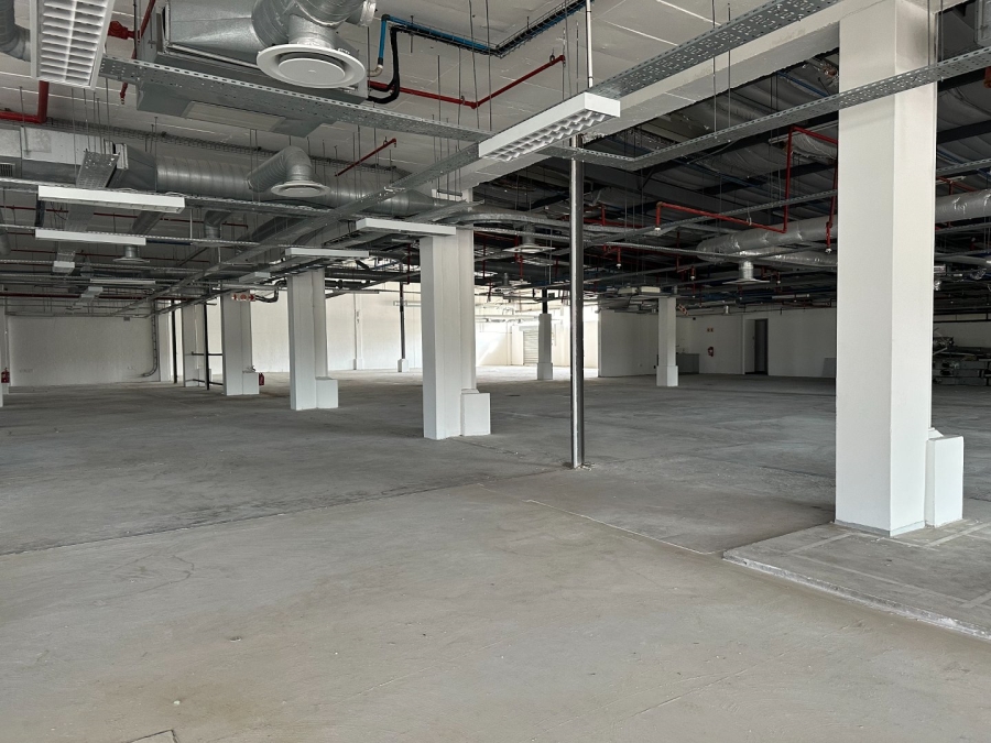 To Let commercial Property for Rent in Observatory Western Cape